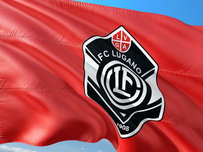 开云体育地址-东京FC战平，保持亚冠小组赛不败，东京fc赛程ds